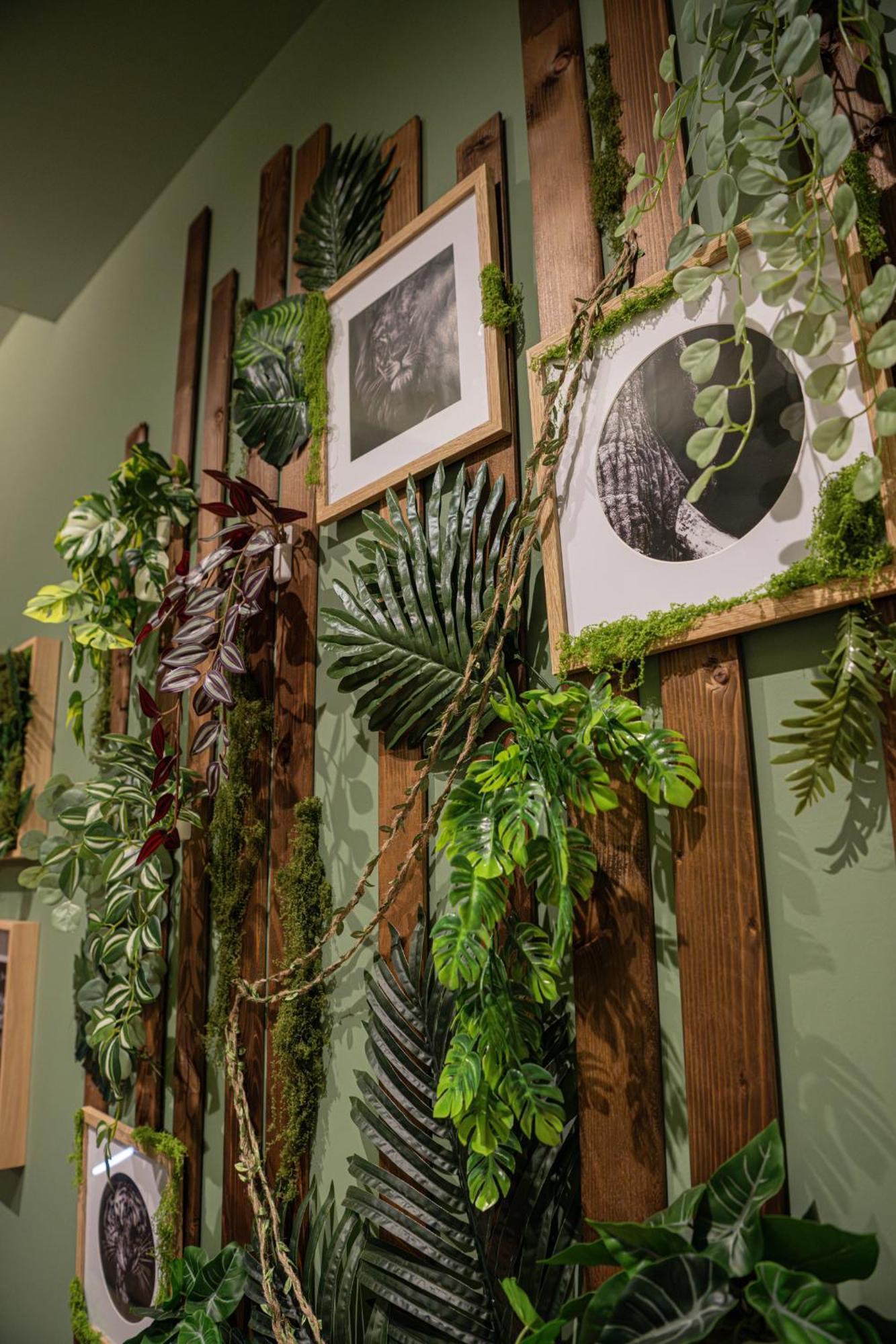 Secret Jungle - Love Room By Prim0 C0Nciergerie Royat Luaran gambar